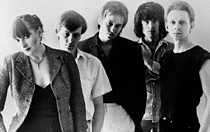 Daphne And The Tenderspots